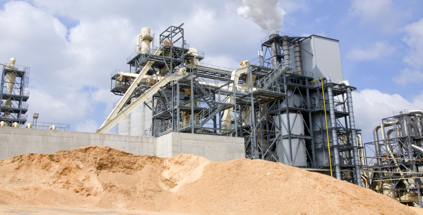 15-16_MWe_Biomass_Plants_IDOM