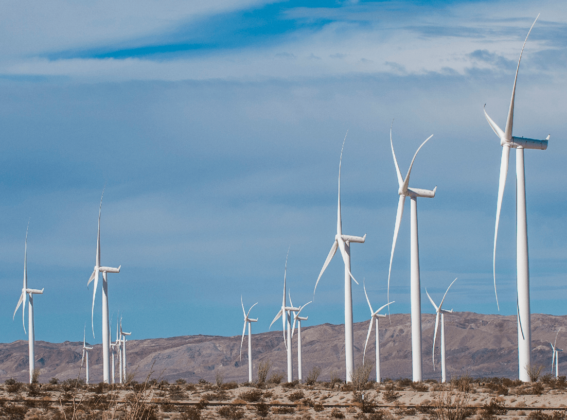 Ante el cambio climático, ¡acción!