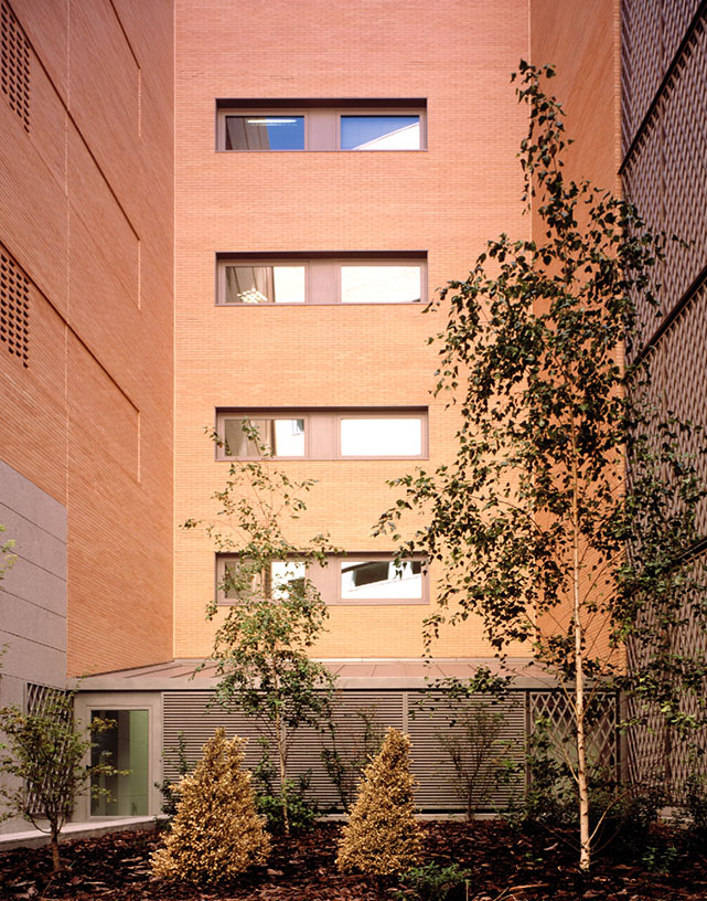 13_bbva_mdeguzmán