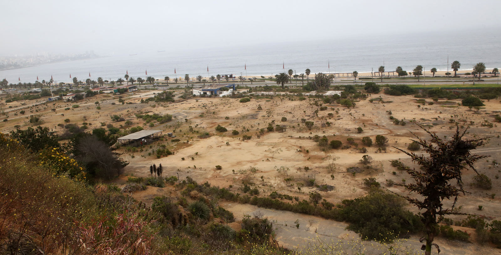 Biorremediacion_Suelos_Vina_del_Mar_Chile_Las_Salinas_IDOM_01