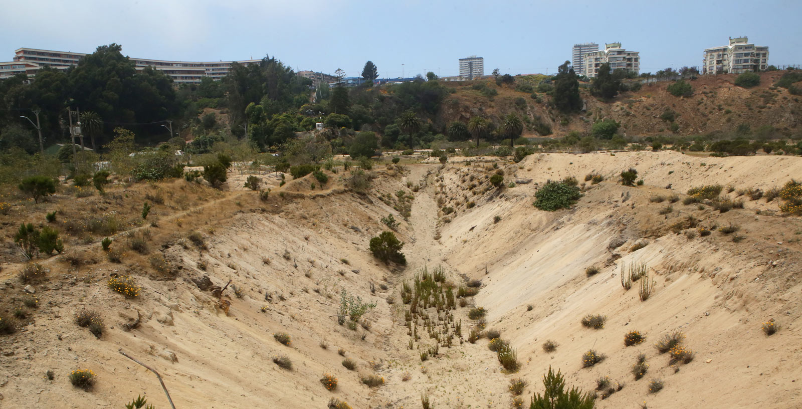 Biorremediacion_Suelos_Vina_del_Mar_Chile_Las_Salinas_IDOM_02