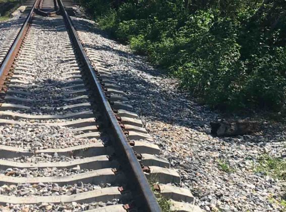 Proyecto ferroviario en México