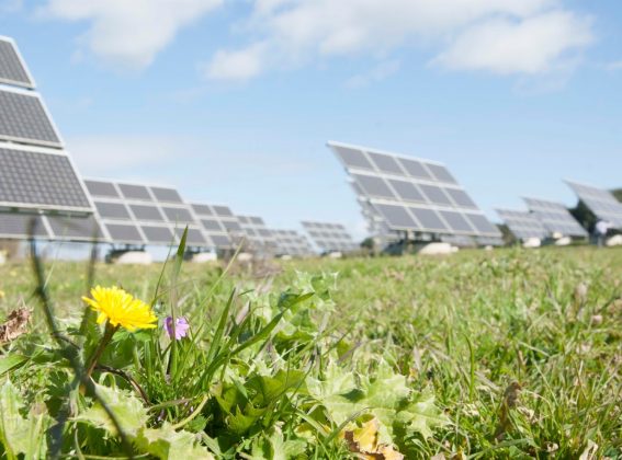 La Aceleradora de Financiamiento Climático en México extiende la recepción de proyectos hasta el 23 de agosto