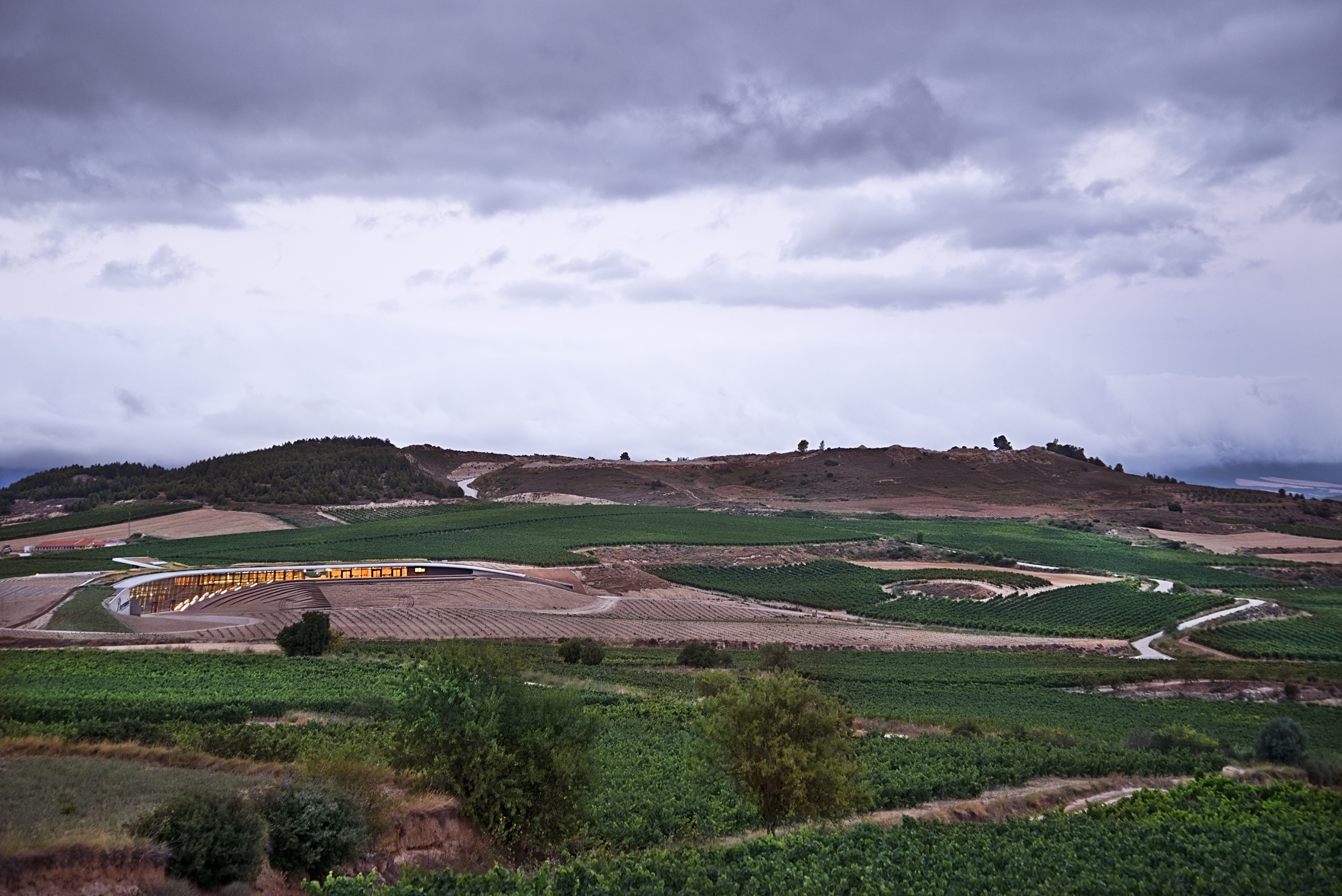 BodegaBeroniaOllauri_5_IDOM_copyright Francesco Pinton