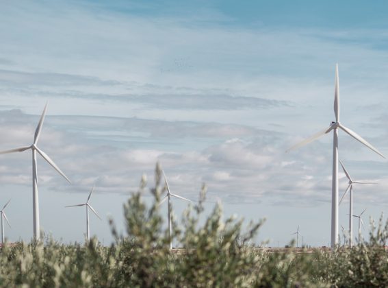 El Programa Low Carbon Business Action en la cumbre del clima COP26