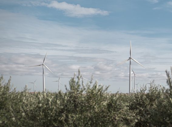 Low Carbon Business Action Program at the COP26 climate summit