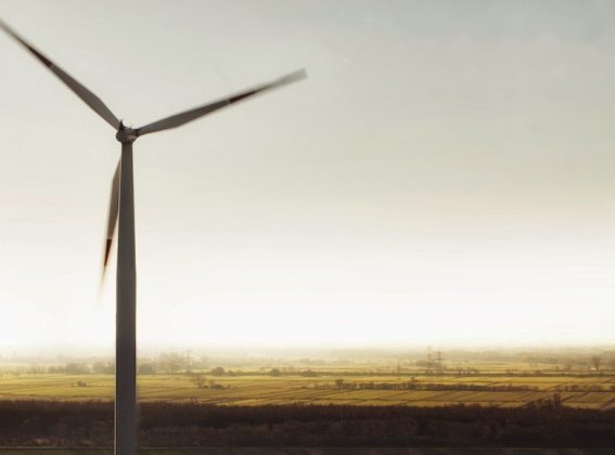 La Aceleradora de Financiamiento Climático en México anuncia primer grupo de proyectos innovadores