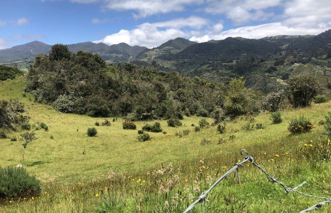Infraestructura verde y SbN para garantizar la seguridad hídrica en Bogotá