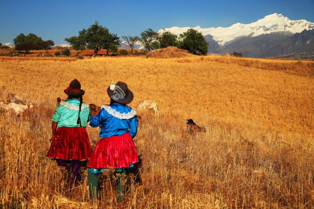National Adaptation Plan for Climate Change in Peru IDOM