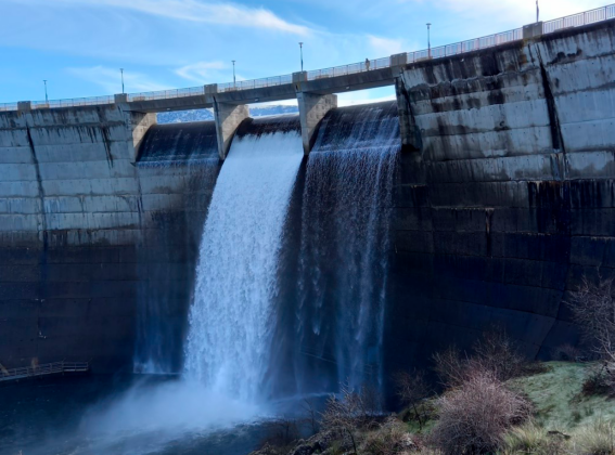 Día Mundial del Agua 2024: Agua para la paz