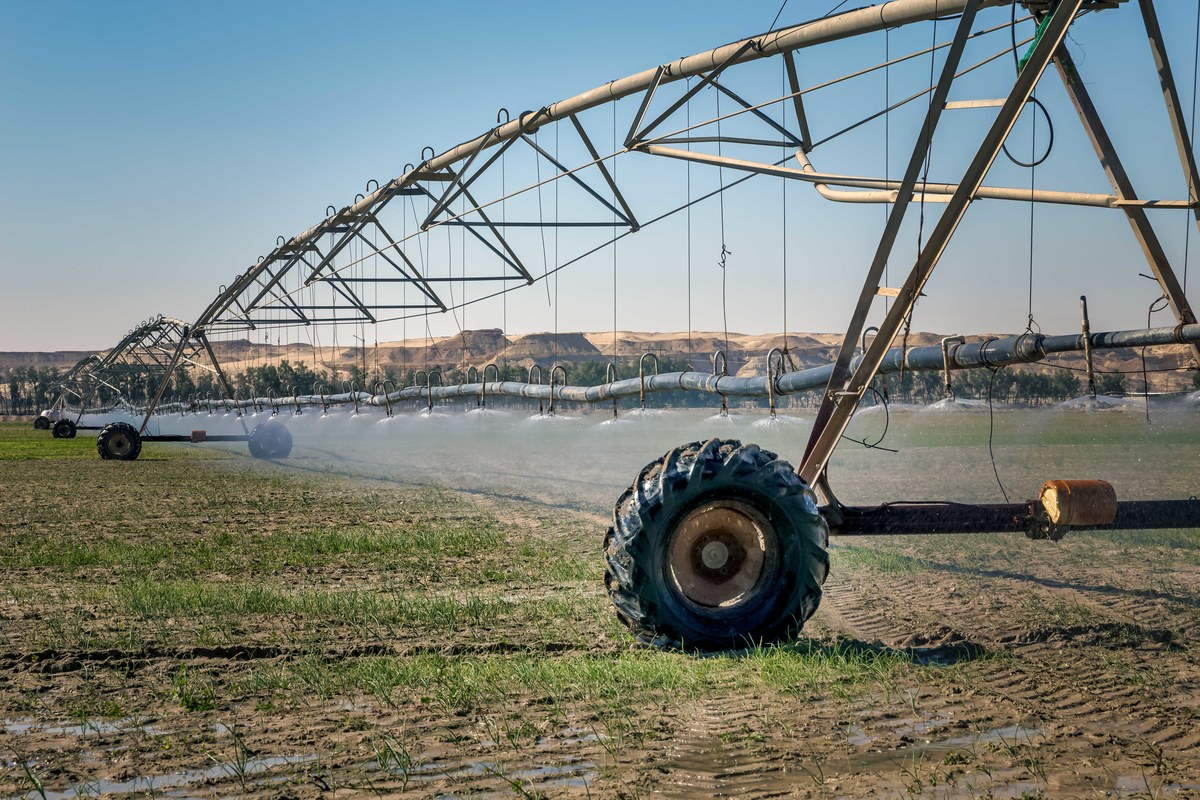 Irrigation,Desert,Farming.,Irrigation,System,For,Farming,In,Pivots,Located