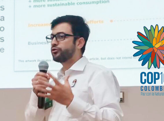 COP 16: Un llamado a la acción en IDOM: nuestros clientes y grupos de interés son ecodependientes