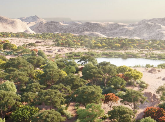 Landscape Middle East Award 2025 por contribuir a la restauración paisajística