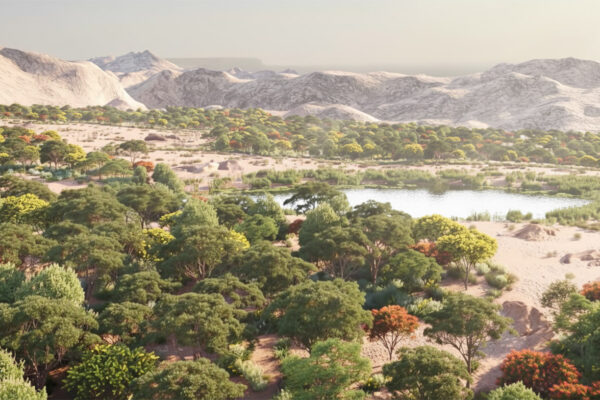 NEOM Forestation Project,