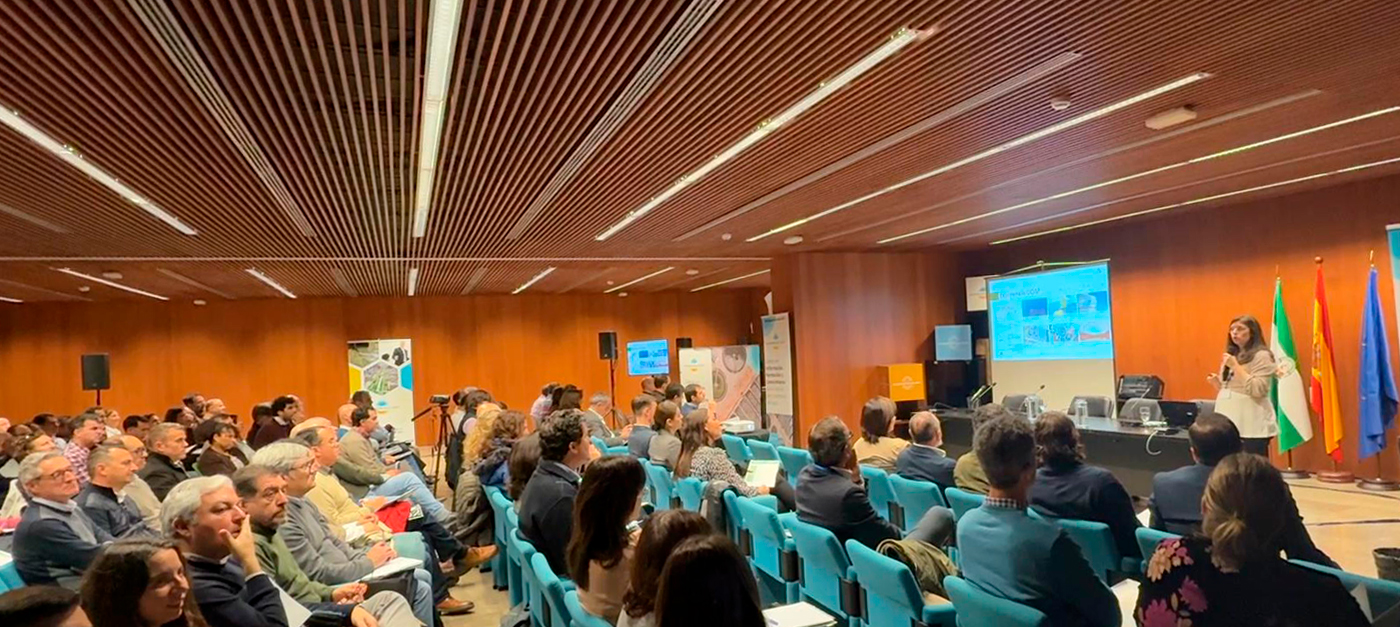 Jnta de Andalucía - Carmen Ponencia - Jnta de Andalucía - Carmen Ponencia -