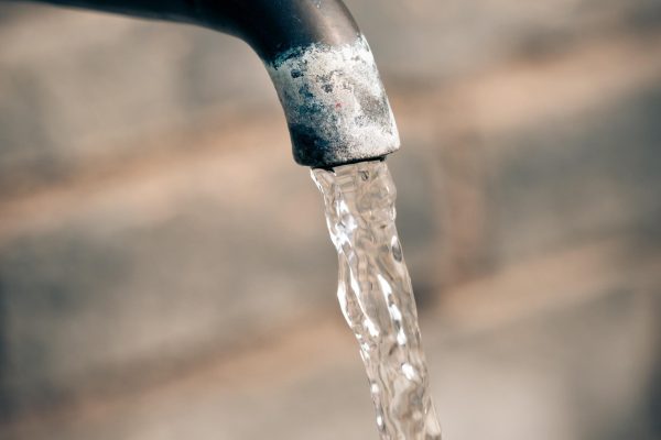 pezibear-water-6533726