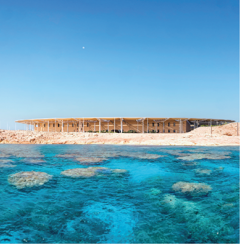 Coral Nursery Neom_4
